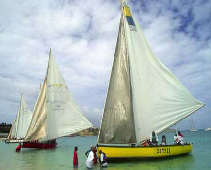 Anguilla International Yacht Club