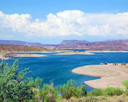 Arizona Catamaran Sailor