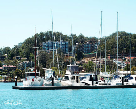 Gosford Sailing Club