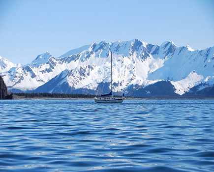 Kenai FjordsYacht Club