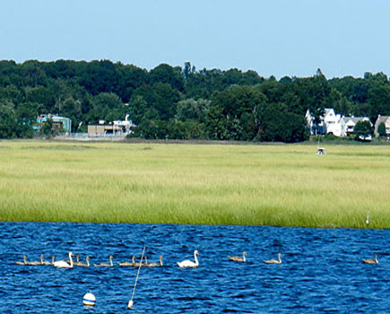 Housatonic Boat Club