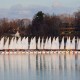 pequot yacht club junior sailing